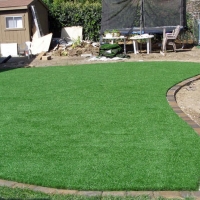 Synthetic Grass Cost Grand Canyon Village, Arizona Gardeners, Backyard