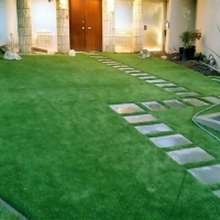 Synthetic Grass Tonto Basin, Arizona Backyard Playground, Front Yard Landscaping