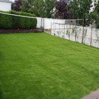 Synthetic Lawn Amado, Arizona Lawns, Backyards