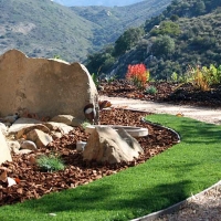 Synthetic Lawn Santa Cruz, Arizona Home And Garden, Front Yard Design