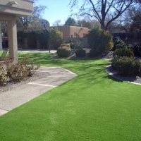 Synthetic Turf Chuichu, Arizona Design Ideas, Small Front Yard Landscaping