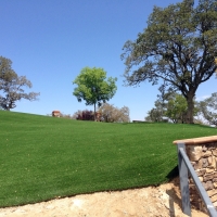 Synthetic Turf Supplier Ali Chukson, Arizona Landscape Design, Front Yard Design