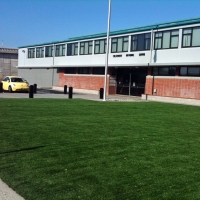 Synthetic Turf Supplier Eloy, Arizona Rooftop, Commercial Landscape