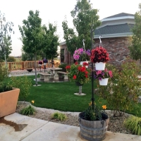 Turf Grass Mayer, Arizona Landscape Design, Commercial Landscape