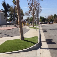 Turf Grass Snowflake, Arizona Backyard Playground, Commercial Landscape