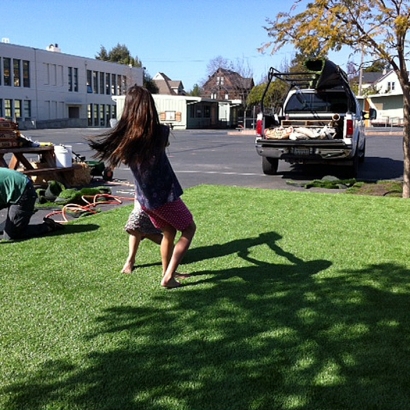 Artificial Grass Carpet Pimaco Two, Arizona Backyard Playground, Commercial Landscape