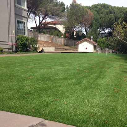 Artificial Grass Carpet Star Valley, Arizona City Landscape, Backyard Design