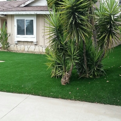 Artificial Grass Installation Eloy, Arizona Landscape Ideas, Front Yard Landscaping