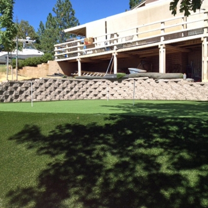 Artificial Grass LeChee, Arizona Putting Green, Backyards