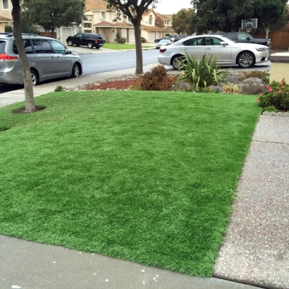 Artificial Grass Tusayan, Arizona Lawns, Front Yard