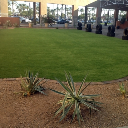 Artificial Lawn Miami, Arizona Rooftop, Commercial Landscape