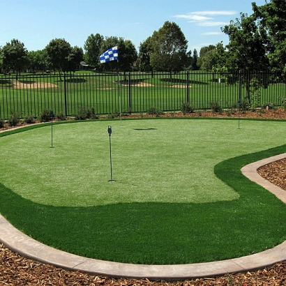 Artificial Lawn Tolleson, Arizona Home And Garden, Backyard