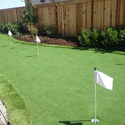 Artificial Turf Canyon Day, Arizona Home And Garden, Backyard Landscaping