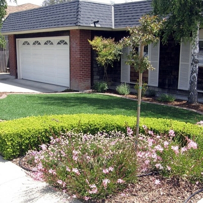 Artificial Turf Cost Carefree, Arizona Backyard Playground, Front Yard