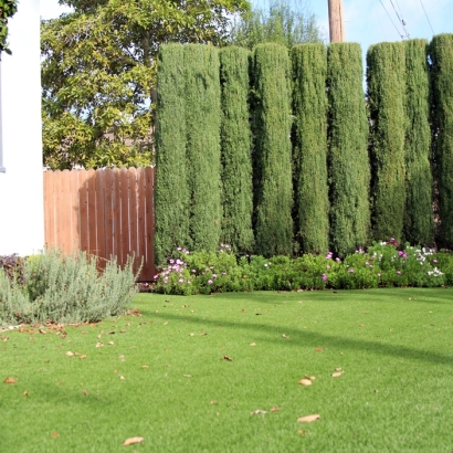 Artificial Turf Cost Chloride, Arizona Gardeners, Front Yard Design