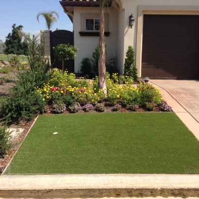 Artificial Turf Installation Bowie, Arizona Landscape Ideas, Front Yard Landscape Ideas