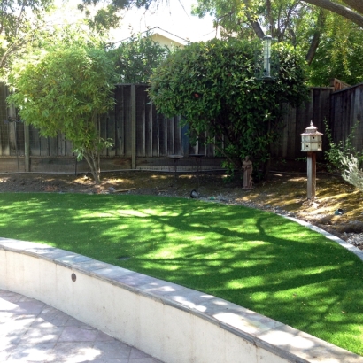 Artificial Turf Paulden, Arizona Backyard Playground, Commercial Landscape