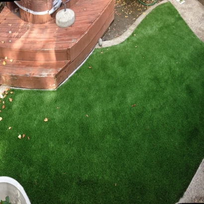 Best Artificial Grass Cameron, Arizona Landscape Rock, Beautiful Backyards