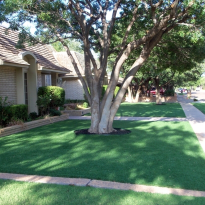 Fake Grass Arivaca Junction, Arizona Lawn And Landscape, Front Yard Landscape Ideas