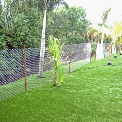 Fake Grass Benson, Arizona Lawn And Landscape, Backyard Design