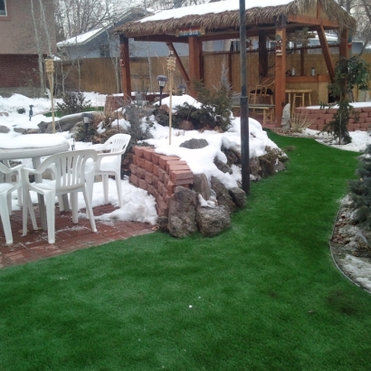 Fake Grass Carpet Ak-Chin Village, Arizona Backyard Playground, Small Backyard Ideas