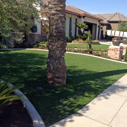 Fake Grass Carpet Verde Village, Arizona Lawn And Garden, Front Yard Design