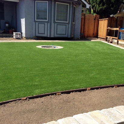 Fake Grass Carpet Wikieup, Arizona Design Ideas, Small Front Yard Landscaping