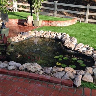 Fake Grass Carpet Yucca, Arizona Backyard Playground, Pool Designs