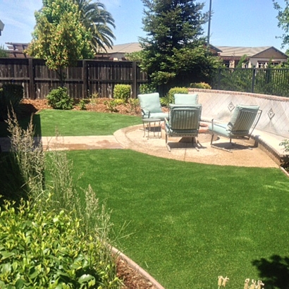 Fake Grass Linden, Arizona Backyard Playground, Backyards