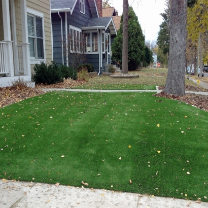 Fake Lawn Parks, Arizona City Landscape, Front Yard Ideas