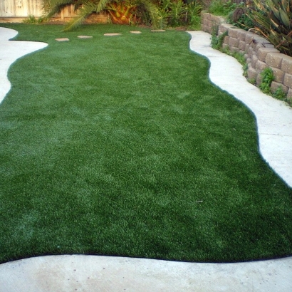 Fake Turf Ak-Chin Village, Arizona City Landscape, Backyard Landscape Ideas