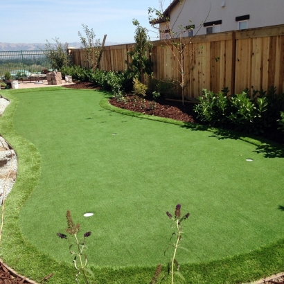 Fake Turf Avondale, Arizona Garden Ideas, Backyard Ideas