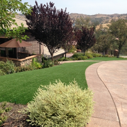 Fake Turf Cedar Creek, Arizona Landscape Rock, Front Yard Landscaping Ideas