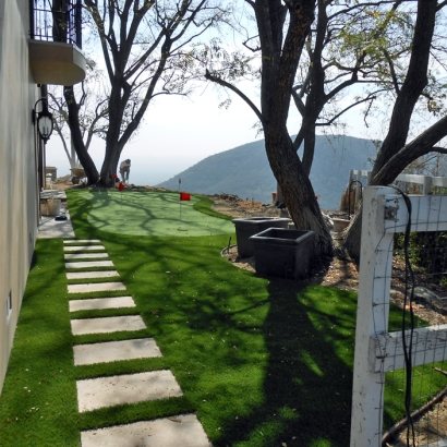 Fake Turf Kearny, Arizona Lawn And Landscape, Backyard Ideas