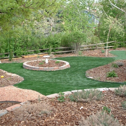 Fake Turf Litchfield Park, Arizona Backyard Deck Ideas, Backyard