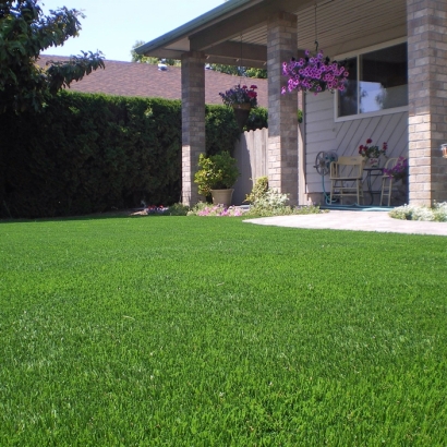 Fake Turf Parker, Arizona Rooftop, Front Yard Landscape Ideas