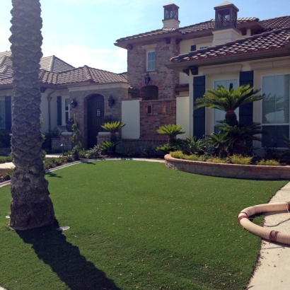 Faux Grass Gu Oidak, Arizona Landscape Design, Front Yard Landscaping