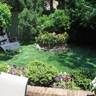 Faux Grass McConnico, Arizona Backyard Deck Ideas, Backyard Ideas