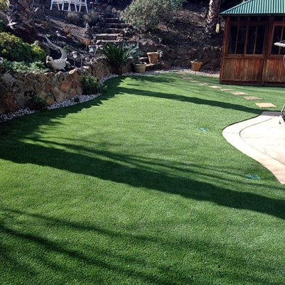 Faux Grass New River, Arizona Backyard Playground, Backyard Garden Ideas