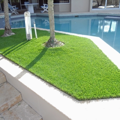 Faux Grass Queen Valley, Arizona Home And Garden, Backyard Designs