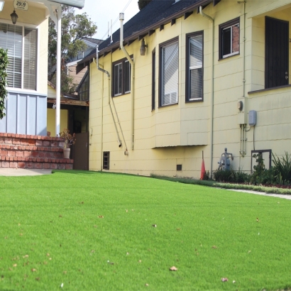 Faux Grass San Luis, Arizona City Landscape, Front Yard Ideas