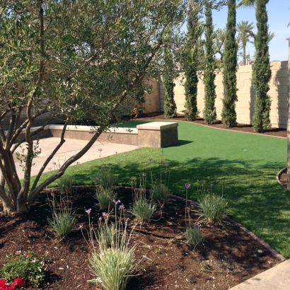 Grass Carpet Clarkdale, Arizona Lawn And Landscape, Backyard Makeover