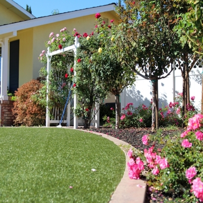 Grass Carpet Cordes Lakes, Arizona Landscaping, Front Yard Landscape Ideas