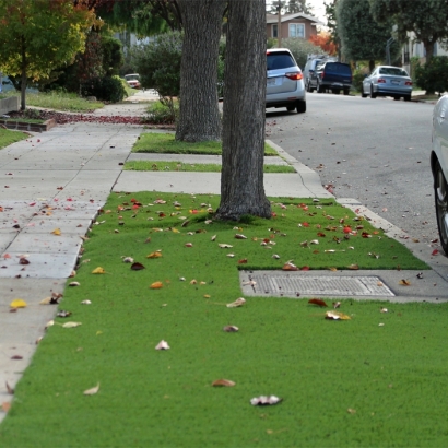 Grass Carpet Dilkon, Arizona Lawns, Front Yard Landscaping