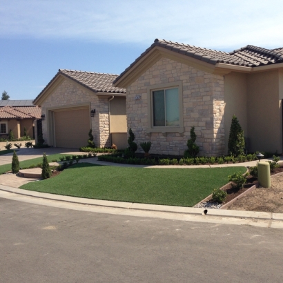 Grass Carpet Marana, Arizona Backyard Playground, Small Front Yard Landscaping