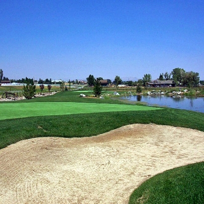 Grass Carpet Paradise Valley, Arizona Putting Green Grass, Backyard Ideas