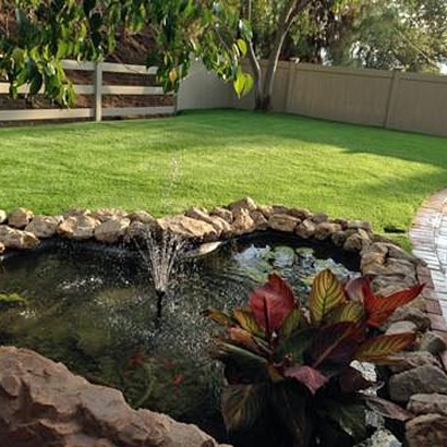 Grass Carpet Seba Dalkai, Arizona Landscaping, Swimming Pool Designs