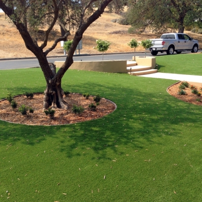 Grass Installation Chloride, Arizona Lawn And Landscape, Front Yard Landscaping Ideas