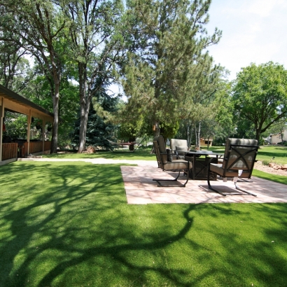 Grass Turf Gisela, Arizona Lawns, Backyard Landscape Ideas