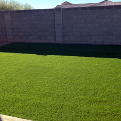 Grass Turf Palominas, Arizona Lawn And Landscape, Backyard Designs